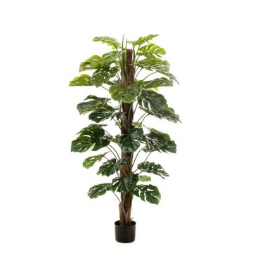 Philodendron Monstera Deliciosa artificiel TILA, 150cm