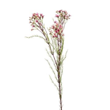 Hoya artificiel MEDEA, rose, 80cm
