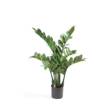 Plante artificielle Zamioculcas SIMANO, 70cm