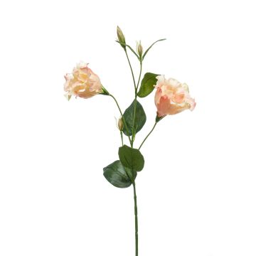 Fleur de lisianthus artificielle JENO, rose crème, 60cm