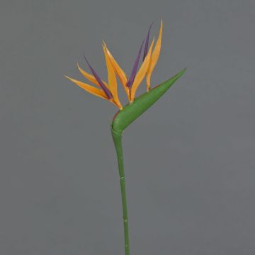 Strelitzia artificiel ZETKIN, orange-violet, 65cm