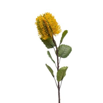 Fleur de banksia artificielle CONAKIR, jaune, 55cm