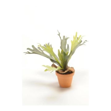 Fougère corn de cerf artificielle BAROJA en pot en terre cuite, vert, 50cm