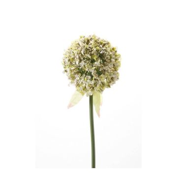 Allium artificiel DURBAN, blanc, 70cm