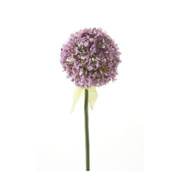 Allium artificiel DURBAN, violet clair, 70cm