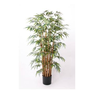 Bambou artificiel HIKITO, véritables troncs, 145cm