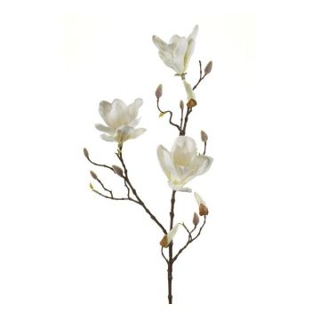 Magnolia artificiel MALVAO, crème, 90cm