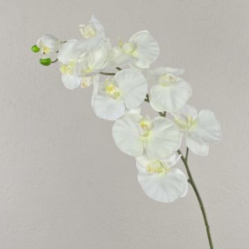 Tige d'orchidée Phalaenopsis en tissu ANAT, crème, 100cm