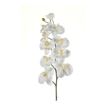 Tige d'orchidée Phalaenopsis en tissu ANAT, crème, 100cm