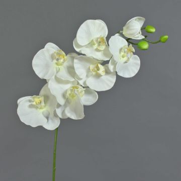 Tige d'orchidée Phalaenopsis en tissu BASTET, blanc, 80cm