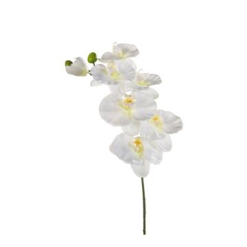 Tige d'orchidée Phalaenopsis en tissu BASTET, blanc, 80cm
