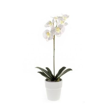 Orchidée Phalaenopsis artificielle ISIS, pot en céramique, blanc, 55cm