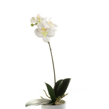 Orchidée Phalaenopsis artificielle ISIS, piquet, blanc, 40cm