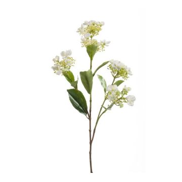 Hortensia artificiel ALAZNE, crème, 75cm