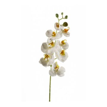 Tige d'orchidée Phalaenopsis en soie MINA, blanc, 70cm