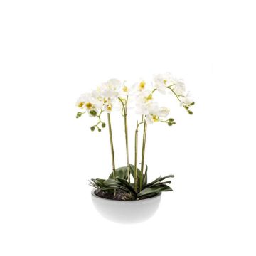 Orchidée Phalaenopsis artificielle MINA en pot en céramique, blanc, 60cm