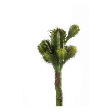 Cactus cierge du Pérou artificiel WESLEY sur piquet, vert, 18cm, Ø8cm