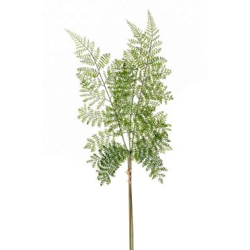 Branche de fougère polystichum HALIMA, vert, 60cm