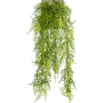 Chute d'asparagus plumosus artificielle COLE, piquet, 80cm