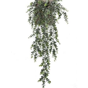 Eucalyptus artificiel en chute ZELINDA sur piquet, vert, 75cm
