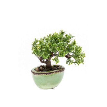 Faux Bonsaï Ficus ORIANA en pot en céramique, 18cm