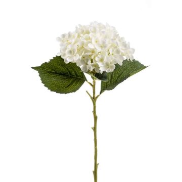 Hortensia artificiel EGIA, crème, 50cm