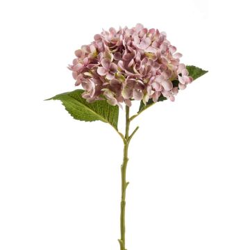 Hortensia artificiel EGIA, rose, 50cm