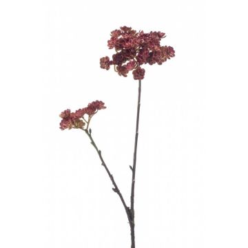 Branche d'echeveria artificielle KALUPA, rouge bordeaux, 50cm