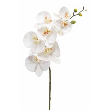 Tige d'orchidée Phalaenopsis en soie NEITH, blanc, 85cm