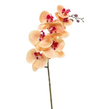 Tige d'orchidée Phalaenopsis en soie NEITH, orange-rose fuchsia, 85cm