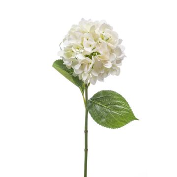 Hortensia en tissu ENEA, blanc, 65cm