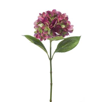 Hortensia en tissu ENEA, violet-vert, 65cm