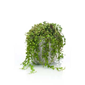 Senecio artificiel PIURA en pot en ciment, vert, 15cm