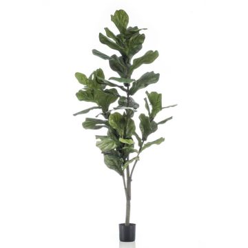 Ficus Lyrata artificiel ENRIKO, tronc artificiel, vert, 150cm