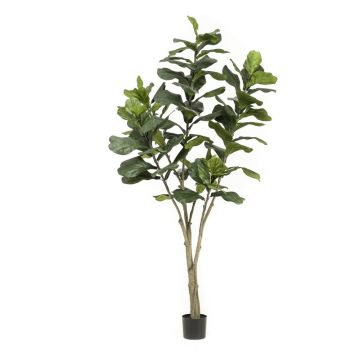 Ficus Lyrata artificiel ENRIKO, tronc artificiel, vert, 210cm