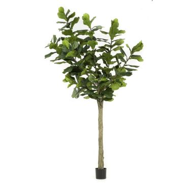 Ficus Lyrata artificiel ENRIKO, tronc artificiel, vert, 300cm