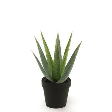 Aloe variegata synthétique MARTINEZ, vert, 25cm, Ø17cm