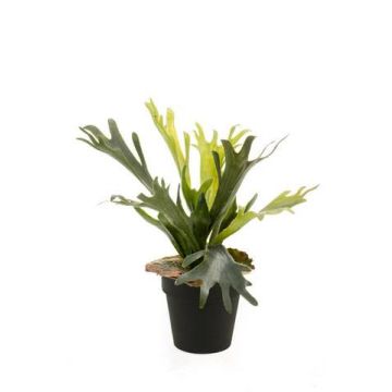 Fougère corne de cerf artificielle LENNON, vert, Ø35cm