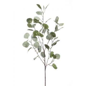 Branche d'eucalyptus artificielle COLTON, vert-gris, 85cm