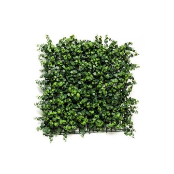 Haie d'eucalyptus artificielle JASE, crossdoor, vert, 50x50cm