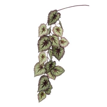 Fausse branche de bégonia rex MEIRA, vert-violet, 110cm