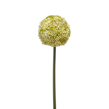 Allium en plastique BOUTROS, blanc-vert, 75cm