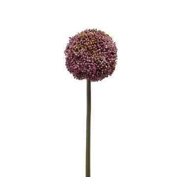 Allium en plastique BOUTROS, violet, 75cm
