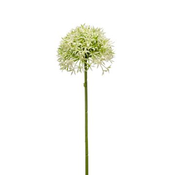Allium artificiel ARNAU, crème-vert, 60cm