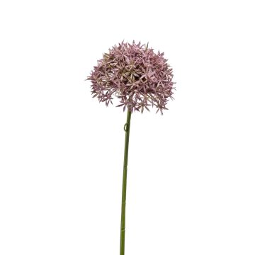 Allium artificiel ARNAU, rose, 60cm