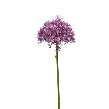 Allium artificiel ARNAU, violet, 60cm