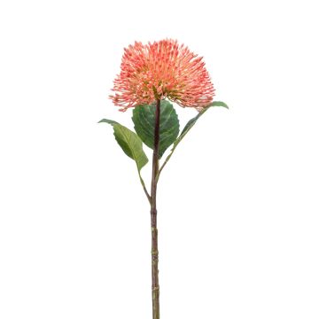 Fleur de sédum artificielle JICAMA, rose, 45cm