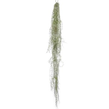Tillandsia Usneoides artificiel HIDAL, piquet, vert-gris, 150cm