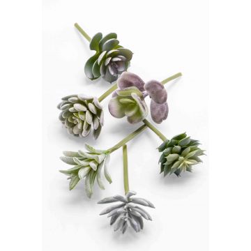 Plantes succulentes artificielles JADON, piquet, 6 pièces, vert-rouge, 13cm, Ø5cm