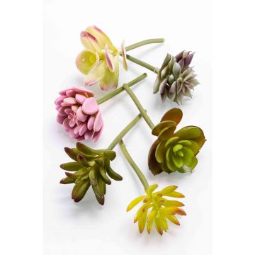 Plantes succulentes artificielles JADON, piquet, 6 pièces, coloré, 13cm, Ø5cm